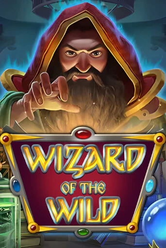 Демо игра Wizard of the Wild играть онлайн | Казино Х бесплатно