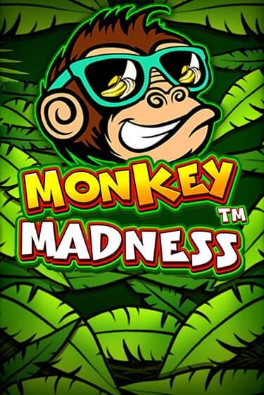 Демо игра Monkey Madness играть онлайн | Казино Х бесплатно